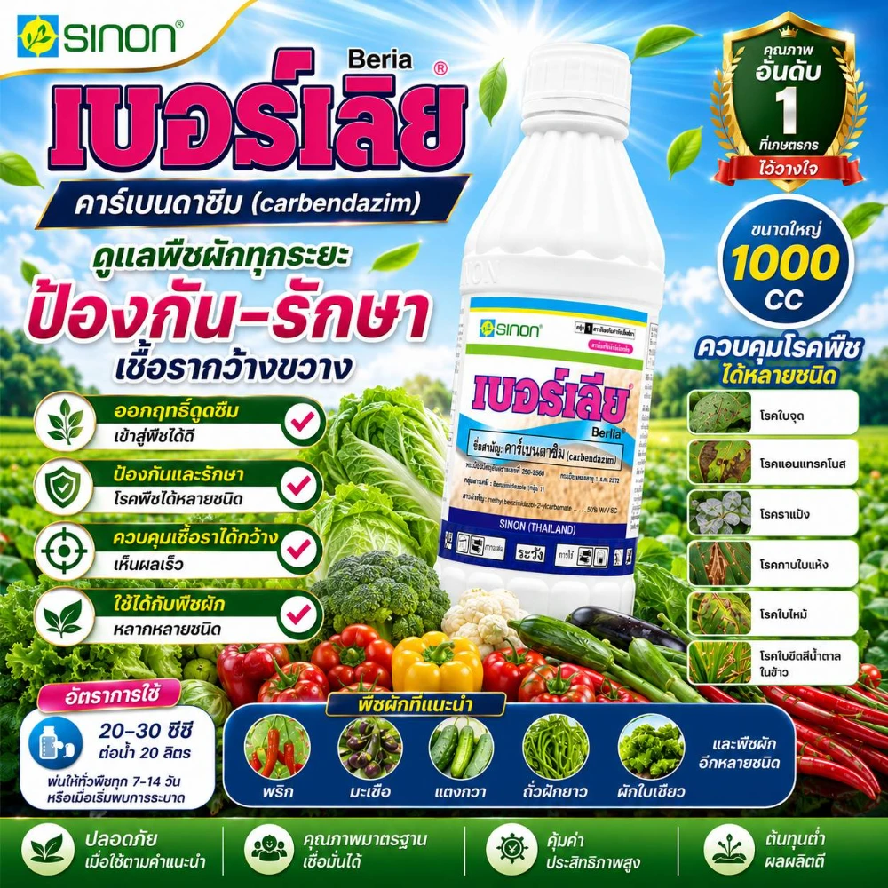 สารป้องกันกำจัดโรคพืช เบอร์เลีย (SINON) ขนาด 1 ลิตร